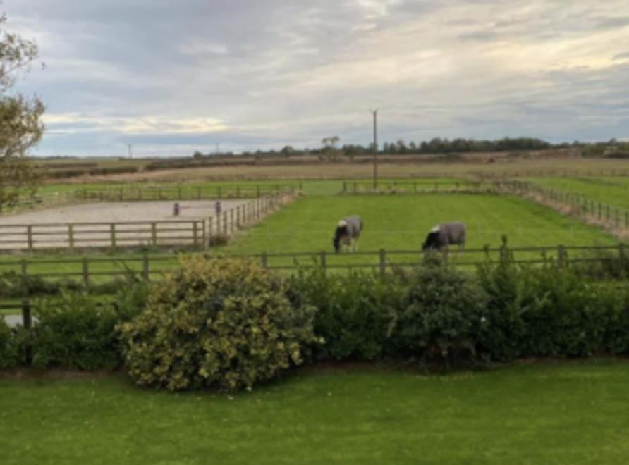 Southview Farm Villa Halsham Dış mekan fotoğraf